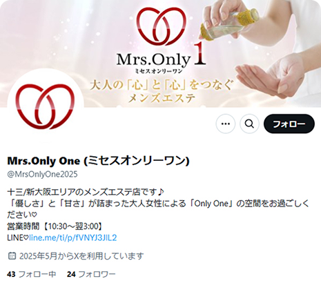公式X